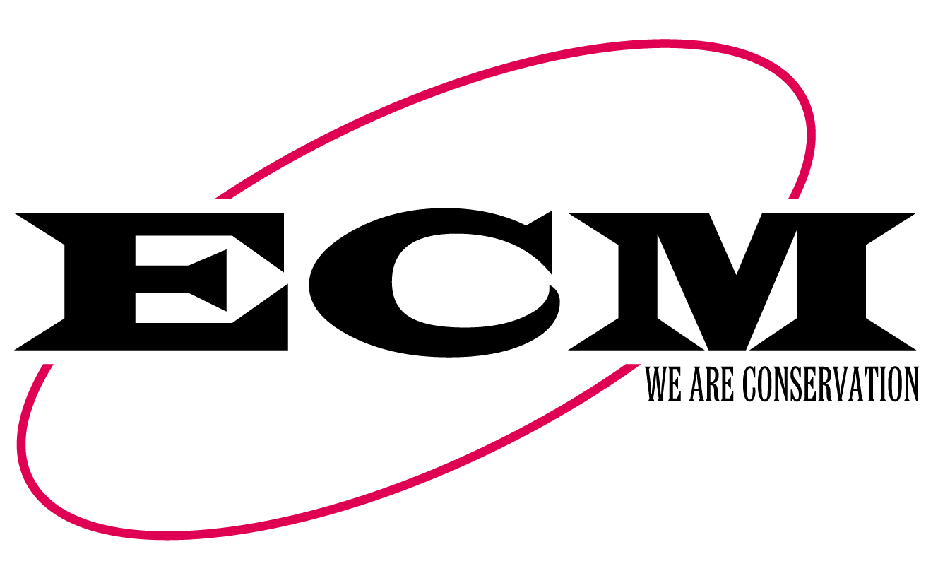 ECM Holding Group, Inc.